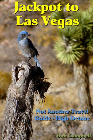 Jackpot to Las Vegas: Not Another Travel Guide High Octane