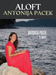 Title: Aloft, Author: Antonija Pacek