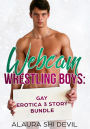 Webcam Wrestling Boys: 3 Story Bundle