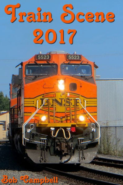 Train Scene 2017