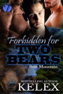 Forbidden for Two Bears (Bear Mountain, #22)