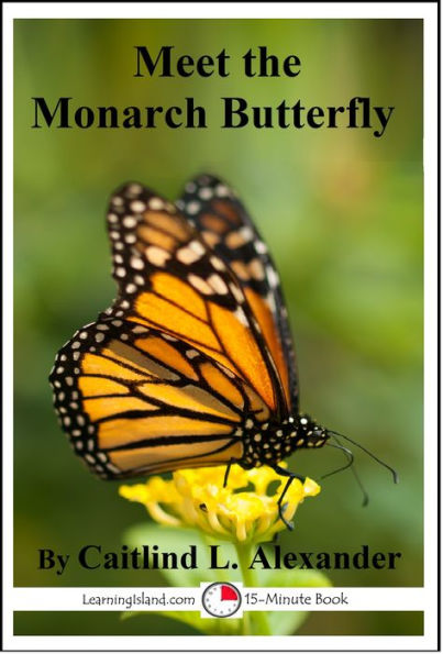 Meet the Monarch Butterfly