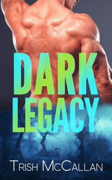 Dark Legacy (Dark Falls, CO Romantic Thriller, #3)