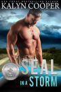 SEAL in a Storm (Silver SEALs, #5)