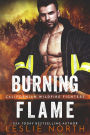 Burning Flame (Californian Wildfire Fighters, #3)