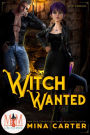 Witch Wanted: Magic and Mayhem Universe (La Fay Chronicles, #1)
