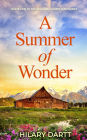 A Summer of Wonder (The Seedling Homestead Series, #1)