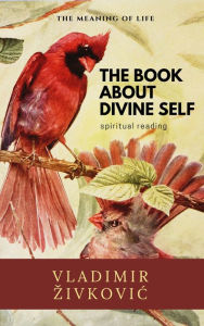 Title: The Book About Divine Self, Author: Vladimir Zivkovic
