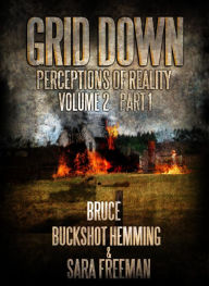 Title: Grid Down Perceptions Of Reality (Part 1, #2), Author: Bruce Buckshot Hemming