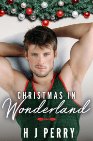 Title: Christmas in Wonderland, Author: H J Perry