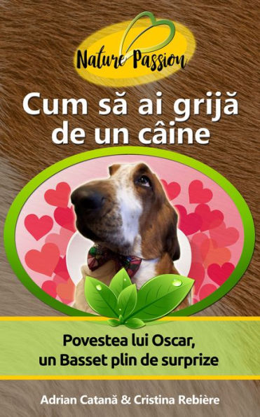 Cum sa ai grija de un câine?: Povestea lui Oscar, un Basset plin de surprize