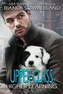 Upper Class (Higher Learning, #3)