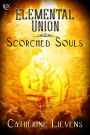 Elemental Union