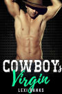 Cowboy's Virgin (The Hot Cowboys, #6)