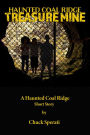 Treasure Mine (Haunted Coal Ridge, #6)