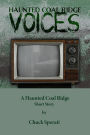 Voices (Haunted Coal Ridge, #5)