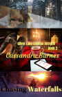 Chasing Waterfalls (Silver Lake Lesbian Intrigue, #2)