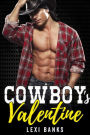 Cowboy's Valentine (The Hot Cowboys, #9)