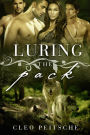 Luring the Pack (Menage novel)