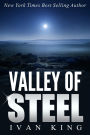 Young Adult: Valley of Steel (Young Adult, Young Adults, Fiction Young Adult, Young Adult Fiction Series, Young Adult Fiction, Books for Young Adults, Fiction for Young Adults) [Young Adult]