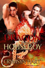The Dragon and His Houseboy 2