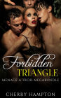 Forbidden Triangle: Menage a Trois Megabundle (new adult bisexual bicurious college mmf mff ffm hardcore threesome erotica box set)