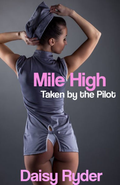 Mile High: Taken by the Pilot (A Naughty Erotic Tale)