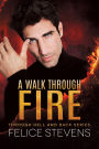 A Walk Through Fire