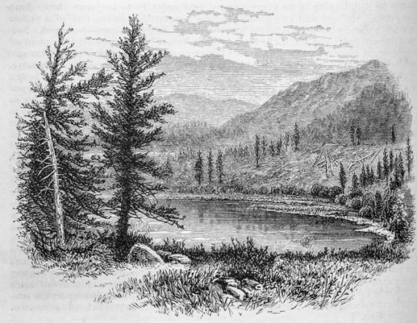 The Mayor Cannibal Flats