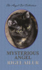 Mysterious Angel