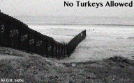 Title: No Turkeys Allowed, Author: G.R. Siebe