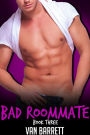 Bad Roommate: Book 3