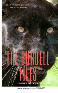 Title: The Burdell Files 6, Author: Jennifer Gisselbrecht Hyena