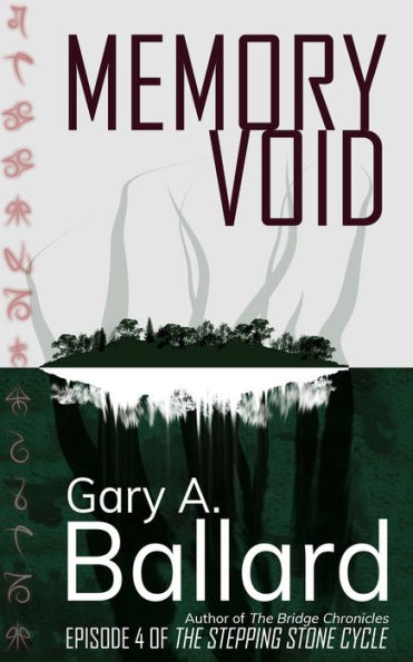 Memory Void