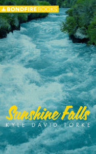 Title: Sunshine Falls, Author: Kyle David Torke