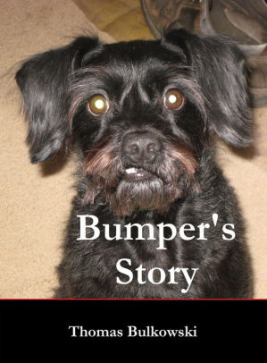 Bumper's Story