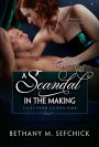 A Scandal in the Making (Tales from Seldon Park Series #11)