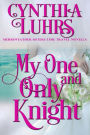 My One and Only Knight: A Lighthearted Time Travel Romance