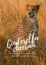 Cinderella Cheetah