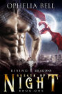 Night Fire (Rising Dragons Prequel)