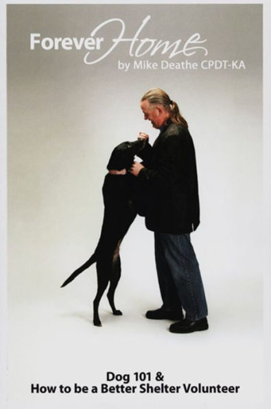 Forever Home: Dog Training 101 & How To Be A Better Shelter Volunteer