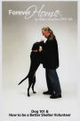 Forever Home: Dog Training 101 & How To Be A Better Shelter Volunteer