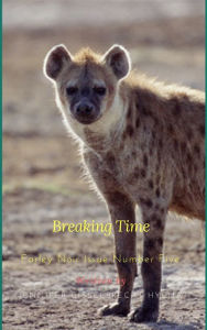 Title: Breaking Time, Author: Jennifer Gisselbrecht Hyena