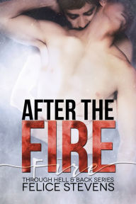 Title: After the Fire, Author: Felice Stevens