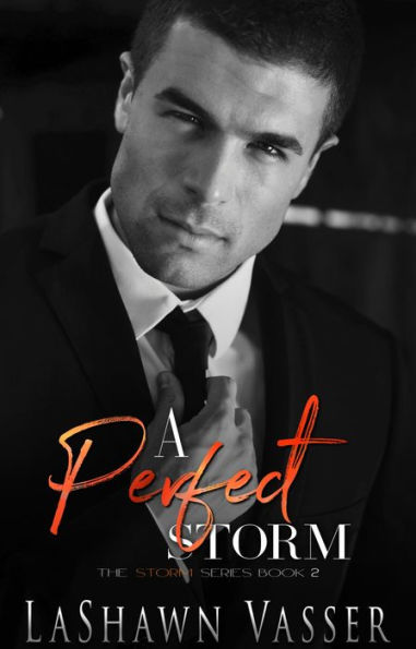 A Perfect Storm: Loving Alexandro (BWWM/Interracial Romance)