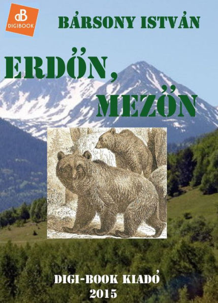 Erdon, mezon