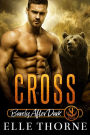 Cross: Barely After Dark