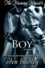 The Training House (Book Two): Boy