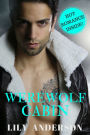 Werewolf Cabin: A M/M Werewolf Romance (The Dragon Shifter Romance Series Book 2) STANDALONE