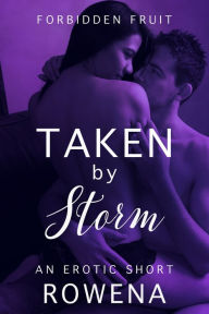 Title: Taken by Storm (BWWM Cheating Domination Erotica), Author: Rowena Risque